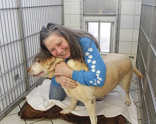        ROBERT K. YOSAY  | THE VINDICATOR.Angels for Animals has a program to help spay your pet..Through Ban the Big Bellies, in its fourth year, the shelter offers low-cost spay and neuter for the pets whose owners meet low-income requirements.Diane Less has operated the clinic for several years