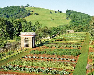 Monticello vegetable garden.