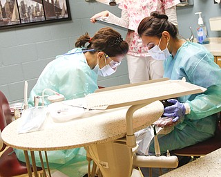        ROBERT K. YOSAY  | THE VINDICATOR.. Standing is  Kayla Brahler as  Nadia Csernik and  Dr  Giannina McBryde  work on a students teeth.. Dr. Sergio Nadler,, and dental hygenist and Choffin student working on kids from Head Start programs in Trumbull County and to students from Summit Academy during Corydon Palmer Society Give Kids a Smile program.  Dentists and internists from St Elizabeths and Valley Care