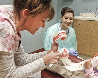        ROBERT K. YOSAY  | THE VINDICATOR..Kayla Brahler and  Nadia Csernik show a student how to brush -.. Dr. Sergio Nadler,, and dental hygenist and Choffin student working on kids from Head Start programs in Trumbull County and to students from Summit Academy during Corydon Palmer Society Give Kids a Smile program.  Dentists and internists from St Elizabeths and Valley Care