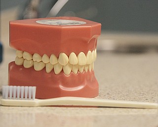        ROBERT K. YOSAY  | THE VINDICATOR.. Dr. Sergio Nadler,, and dental hygenist and Choffin student working on kids from Head Start programs in Trumbull County and to students from Summit Academy during Corydon Palmer Society Give Kids a Smile program.  Dentists and internists from St Elizabeths and Valley Care