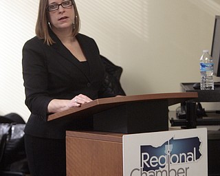        ROBERT K. YOSAY  | THE VINDICATOR..Sarah Boyarko, vice president of economic development-- The Regional Chamber hosted a presentation about the site selection process of companies in the valley at ITT on Meridian Rd.. .-30-