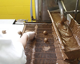        ROBERT K. YOSAY  | THE VINDICATOR..Gorant Choclatier   the strawberries are double dipped - to insure.. they are covered.... at the factory on Market Street.. . .-30-