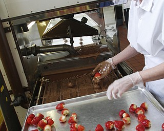        ROBERT K. YOSAY  | THE VINDICATOR..Gorant Choclatier   Diane Kalosky -  prepares fresh strawberries... into the chocolate at the factory on Market Street.. . .-30-