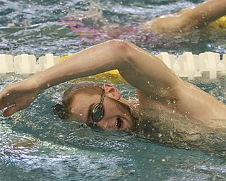 William D. Lewis the Vindicator  Warren swimmerDylan Thirion doing freestyle.