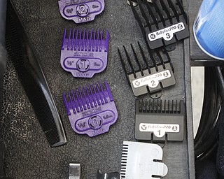        ROBERT K. YOSAY  | THE VINDICATOR..the barbers many clipper blades..Students at Volney Rogers Discovery Program had two local barbers came in to the school today ( wed) and cut and  styled over 30 students ( boys) just in time for picture day and Character Court where students in the 8th grade are elected as tops in their class - to be held Thursday at 1 PM- Character day will also include performances by after school activites of Dance Fitness, D.J./s and Media shows.