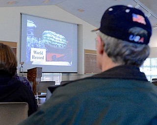 Jeff Lange | The Vindicator  A member looks on at a slide of a record-breaking watermelon grown by an Ohio Valley Giant Pumpkin Growers member, Saturday afternoon during a seminar in Canfield.