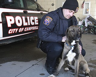 William D. Lewis The Vindicator  Campbell PD PTLM Charles Butch with a stray dog he found near Wilson Ave. in Campbell.
