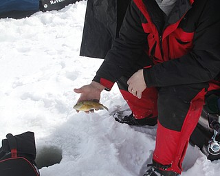        ROBERT K. YOSAY  | THE VINDICATOR..Mosquito Lake now almost 20 inches deep in ice had local anglers brave sub zero temps to fish.. Most say the fish from ice covered lakes are always best tasteing...David Parker and George Hrvatin (blue) both of Auburn Ohio.. spent tuesday fishing for  blue gill and walley