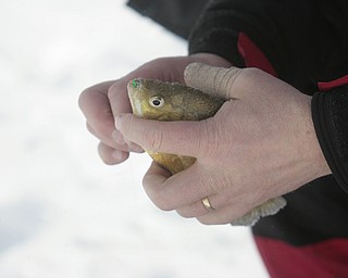        ROBERT K. YOSAY  | THE VINDICATOR..Mosquito Lake now almost 20 inches deep in ice had local anglers brave sub zero temps to fish.. Most say the fish from ice covered lakes are always best tasteing...David Parker and George Hrvatin (blue) both of Auburn Ohio.. spent tuesday fishing for  blue gill and walley