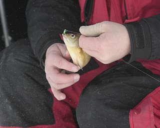        ROBERT K. YOSAY  | THE VINDICATOR..Mosquito Lake now almost 20 inches deep in ice had local anglers brave sub zero temps to fish.. Most say the fish from ice covered lakes are always best tasteing...David Parker and George Hrvatin (blue) both of Auburn Ohio.. spent tuesday fishing for  blue gill and walley