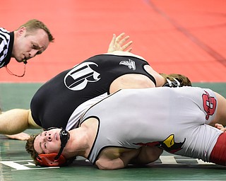 COLUMBUS, OHIO - MARCH 13, 2015: David Crawford of Canfield attempts to keep his shoulders off the mat while Kyle Lawson of St. Paris Graham Local goes for a pin during their 152lb championship round bout Friday night at Schottenstein Center. (Photo by David Dermer/Youngstown Vindicator)
