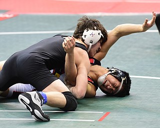 COLUMBUS, OHIO - MARCH 14, 2015: Matthew Cardello of Canfield is flipped over to his back before being pinned by Eric Bartos of Medina Buckeye during their 106lb Division 2 consolation round bout Saturday morning at Schottenstein Center. (Photo by David Dermer/Youngstown Vindicator)