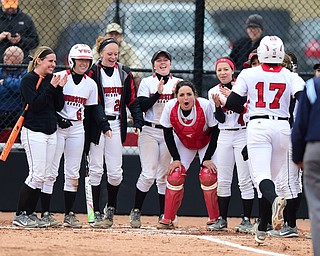 YOUNGSTOWN, OHIO - MARCH 20, 2015: Miranda Castiglione #17 of YSU is congratulated by her teammates after hitting a solo home run in the bottom of the 3rd inning during Friday evenings game at the YSU Softball Complex.(Photo by David Dermer/Youngstown Vindicator)