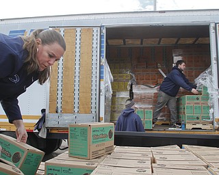        ROBERT K. YOSAY  | THE VINDICATOR..yep thin mints as Carolyn Crawford  of fowler and troop 80379- picks up some of the 1800 boxes her troop has sold..Girl Scout cookies by the thousands of boxes, arrived via 4 semi-trucks Friday  at W. D. Packard Music Hall here and are arriving sat at St. Michael Parish in Canfield to be picked up by local Girl Scout leaders for distribution to their troop members.