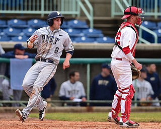 NILES, OHIO - MARCH 25, 2015: Eric Hess #8 of Pitt crosses home plate to score the 7th Pitt run of the game  behind catcher Jonny Miller #22 of YSU in the top of the 4th inning during Wednesday afternoons game at Eastwood Field. (Photo by David Dermer/Youngstown Vindicator)