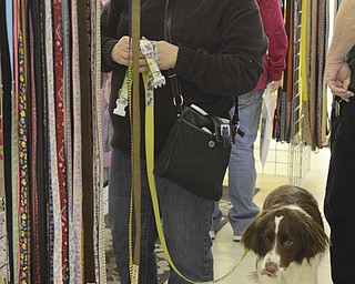 Katie Rickman | The Vindicator.Gayle Bowser of McDonald looks at leashes while her puppy Potter, a 10-month-old English Springer Spaniel stands beside her at the Pet Expo at the Eastwood Expo Center in Niles on March 28, 2015.