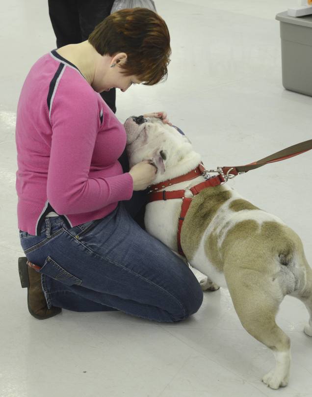 Katie Rickman | The Vindicator.Patty Miller of Niles kneels down to pet a bull dog at the Pet Expo at the Eastwood Expo Center in Niles on March 28, 2015. Miller who has many rescue animals at home enjoyed seeing the pets that came out to the Pet Expo.