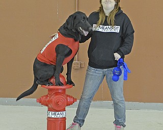 Katie Rickman | The Vindicator.April Ream stands next to her dog Malachi during a Sit Means Sit demonstration at the Pet Expo at the Eastwood Expo Center in Niles on March 28, 2015.