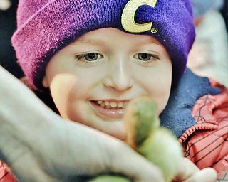 Jeff Lange | The Vindicator  APRIL 4, 2015 - Noah Roth of Struthers admires a duckling up close, Saturday afternoon Mill Creek MetroParks Farm in Canfield. Noah came to the Easter festivities at Mill Creek with his mother Samantha Roth.