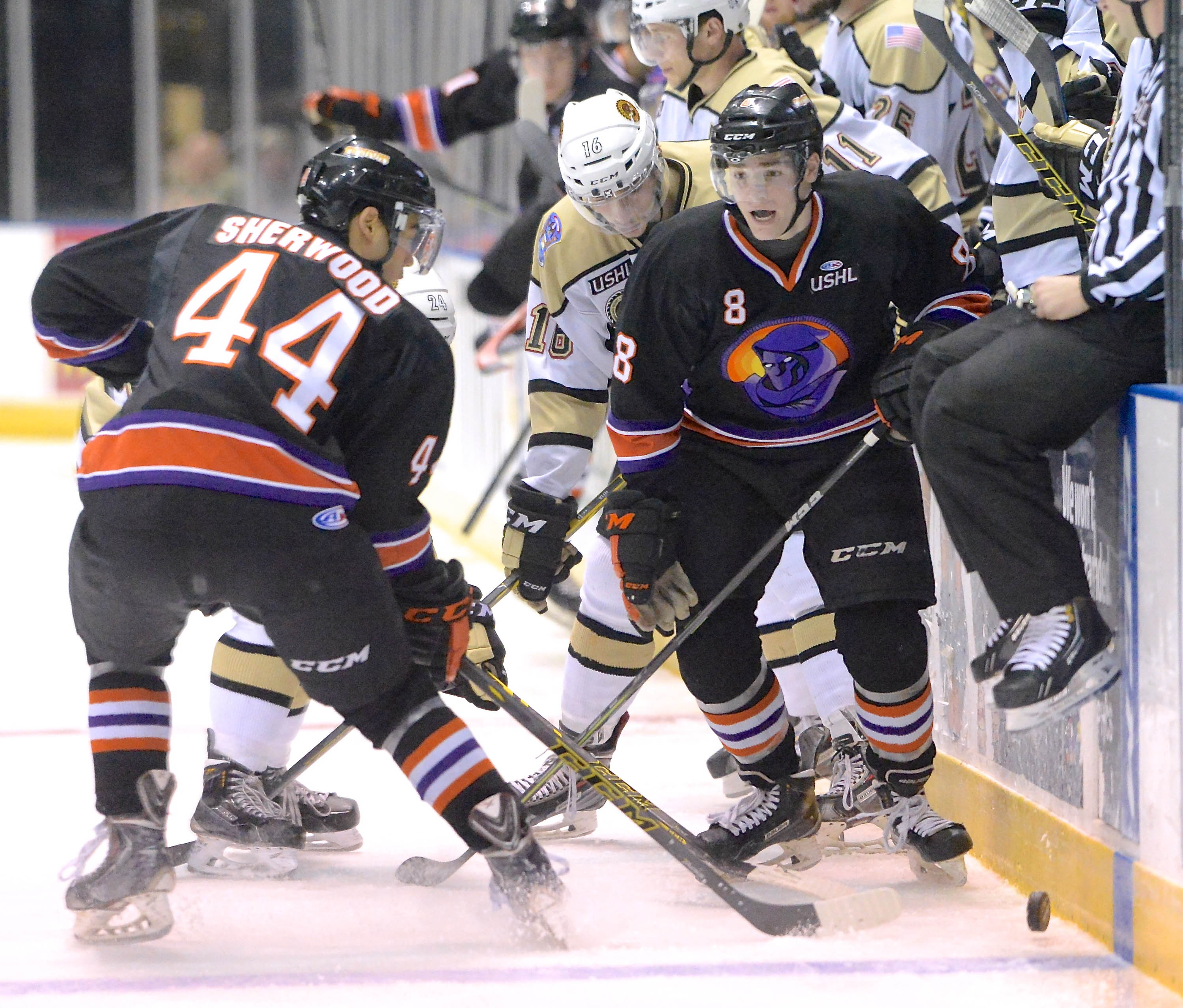 Jeff Lange | The Vindicator  APRIL 4, 2015 - Youngstown's Kiefer Sherwood (44) and Josh Melnick (8) battle for the puck against Muskegon's Mark Petaccio (16) in the first period of Saturday night's game at the Covelli Centre in Youngstown.