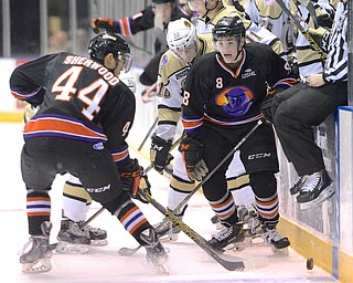 Jeff Lange | The Vindicator  APRIL 4, 2015 - Youngstown's Kiefer Sherwood (44) and Josh Melnick (8) battle for the puck against Muskegon's Mark Petaccio (16) in the first period of Saturday night's game at the Covelli Centre in Youngstown.