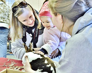 Jeff Lange | The Vindicator  15 month old Kaylee Woida (right) pets Mortimer the rabbit as her mother Laura Woida holds her at Mill Creek MetroParks Farm in Canfield during the Easter festivities, Saturday morning.