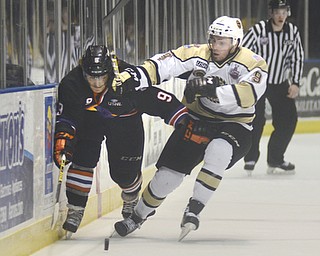 Katie Rickman | The Vindicator. Phantoms  Bo Hanson (#9) ducks his head and tries to push past Lumberjacks Taylor Best (#9) during the first period of the game at the Covelli Centre on April 18, 2015.