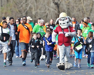 Jeff Lange | The Vindicator  APRIL 18, 2015 - Mahoning Valley's Scrappy leads children in a footrace, Saturday morning during the MS walk held at Eastwood Field in Niles.