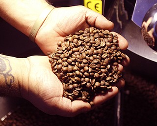        ROBERT K. YOSAY  | THE VINDICATOR..Freshly roasted..StoneFruit - Canfield coffee shop t Joshua and Jennifer,(Jennifer Rodway, 25, of Liberty, co-owns the business with her husband, Josh Langenheim, 30, also of Liberty.) married couple, who have imported Roasting machines from heavy coffee countries Morrocco and Turkey. They will also have a coffee shop within the Canfield Public Library once it is open..
