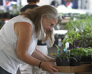        ROBERT K. YOSAY  | THE VINDICATOR..checking out her latest selection is  Mary Ann Karas of Austintown - the sale from the plants is used to keep the gardens in flowers and supplies.. Fellows Riverside Gardens marked  National Public Gardens Day Friday with a plant sale, in the garden a new event every friday for childen Family Fun Fridays and of course seeing the gardens which are in full spring bloom..