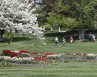        ROBERT K. YOSAY  | THE VINDICATOR.... Fellows Riverside Gardens marked  National Public Gardens Day Friday with a plant sale, in the garden a new event every friday for childen Family Fun Fridays and of course seeing the gardens which are in full spring bloom..