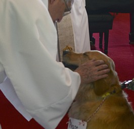 Katie Rickman | The Vindicator.Rev. John Wigle blesses Jake McNasty during during the annual Animal Blessing at St. James the Episcopal Church in Boardman on Sunday May 10, 2015. Jake's sign on his collar reads "Please bless me real hard! I was bad!".