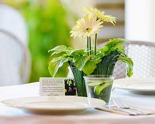 Jeff Lange | The Vindicator  MAY 10, 2015 - Along with plates and silverware, a small potted flower and thank you note from the park could be found on each table at the Mothers Day brunch at Fellows Riverside Gardens, Sunday.