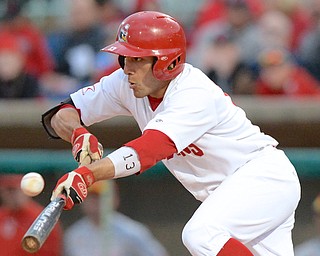 Jeff Lange | The Vindicator  MAY 12, 2015 - Penguins' Frank Califano connects for a bunt late in Tuesday night's game against Ohio State at Eastwood Field.