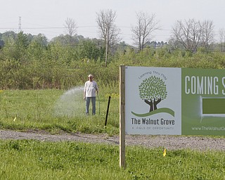        ROBERT K. YOSAY  | THE VINDICATOR..Volunteers planted about 72 Black Walnut trees at the Walnut Grove site along state Route 46 during the weekend, the first sign of progress at the site..Allen Conti, president of the Walnut Grove, said the 72 trees cost about $2,000 total, and now to the watering and care..
