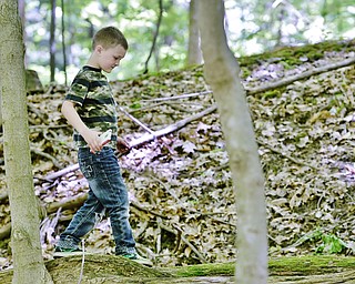 Jeff Lange | The Vindicator  MAY 23, 2015 - 5 year old Devin Stetson of Liberty carefully walks across a fallen tree to take a picture of a hollow log during Saturday's scavenger hunt at the Ford Nature Center in Youngstown. Devin came to the scavenger hunt with his mother Kelly Byrne.