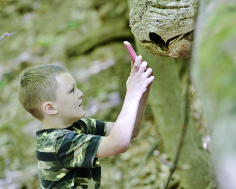 Jeff Lange | The Vindicator  MAY 23, 2015 - 5 year old Devin Stetson of Liberty photographs a hollow log with his mother's cell phone during Satuday's scavenger hunt at the Ford Nature Center in Youngstown. Stetson attended the scavenger hunt with her mother Kelly Byrne.