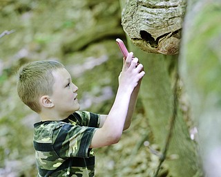 Jeff Lange | The Vindicator  MAY 23, 2015 - 5 year old Devin Stetson of Liberty photographs a hollow log with his mother's cell phone during Satuday's scavenger hunt at the Ford Nature Center in Youngstown. Stetson attended the scavenger hunt with her mother Kelly Byrne.