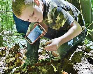 Jeff Lange | The Vindicator  MAY 23, 2015 - 5 year old Devin Stetson of Liberty carefully examines a stone found in the dirt just off one of the trails behind the Ford Nature Center during a scavenger hunt, Saturday afternoon. Stetson went to the scavenger hunt with his mother Kelly Byrne.
