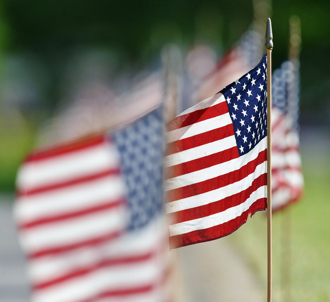 Jeff Lange | The Vindicator  MAY 25, 2015 - Flags lined the walkways at Boardman Park, Monday for Memorial Day.