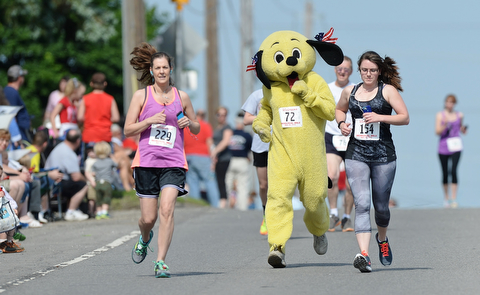 Jeff Lange | The Vindicator  MAY 25, 2015 - William Kofact dressed as "Sonny the Puppy" of Boardman (72) competes in the Memorial Mile against Kristin Alberini of Warren (229) and Melissa Johnson of Gahanna (154), Monday morning on U.S. 224. This was Kofact's fourth year running the race dressed as the Harbor Pet Center's mascot. Kofact finished 77th overall with a time of 8:42.