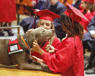       .         ROBERT  K. YOSAY | THE VINDICATOR..Welcomed with a lick as Emily Dunn and Janae Rivera hug a Rigby - a service dog of one of the graduates  Cameron Gumble.. Over 300 Austintown Fitch graduates received their diplomas at Saturday Morning commencement in the High School Gym..-30-