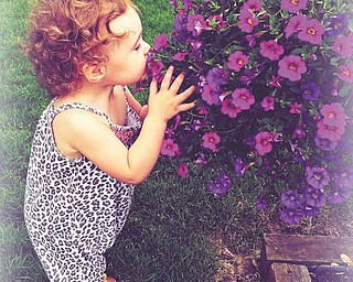 Kensington Bolash is Pa Pa’s flower baby! She loves her Pa Pa, Bill Pounds, and is definitely her Pa Pa’s little girl! She loves to help him with his flower bed. She likes to do everything her Pa Pa does! Sent by Kensington’s mom, Kacy Bolash of Austintown.