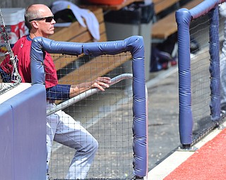 MORGANTOWN, WEST VIRGINIA - JUNE 21, 2015: Manager Travis Fryman #17 of the Scrappers watches the bottom of the 7th inning from the dugout during game one of Sunday afternoons double header at game at Monongalia County Ballpark. DAVID DERMER | THE VINDICATOR