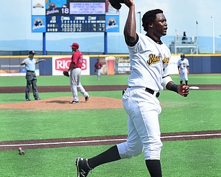 MORGANTOWN, WEST VIRGINIA - JUNE 21, 2015: Maximo Rivera #27 of the Black Bears celebrates after scoring the game winning run in the bottom of the 7th inning during game one of Sunday afternoons double header at game at Monongalia County Ballpark. DAVID DERMER | THE VINDICATOR