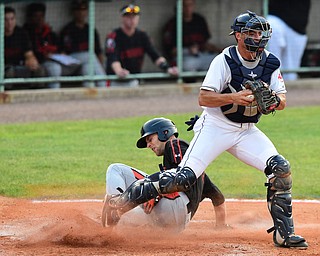NILES, OHIO - JULY 4, 2015: Base runner Mike Odenwaelder #37 takes out the leg of catcher Daniel Salters #12 of the Scrappers after being forced out at home in the 5th inning of Saturday nights game at Eastwood Field. DAVID DERMER | THE VINDICATOR
