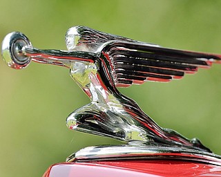 Jeff Lange | The Vindicator  JULY 5, 2015 - The hood ornament of Charles Duffield's 1937 Packard Convertible Coupe found at Sunday's car show in Warren.