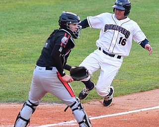 NILES, OHIO - JULY 6, 2015: Base runner Li-Jen Chu #16 of the Scrappers slides into home plate to score a run before catcher Jerry McClanahan #9 of the Ironbirds can receive the baseball  in the 2nd inning of Monday nights game at Eastwood Field. DAVID DERMER | THE VINDICATOR
