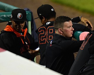 NILES, OHIO - JULY 6, 2015: Athletic trainer Marty Brinker of the Aberdeen Ironbirds hangs out in the dugout during a game against the Scrappers Monday nights game at Eastwood Field. DAVID DERMER | THE VINDICATOR